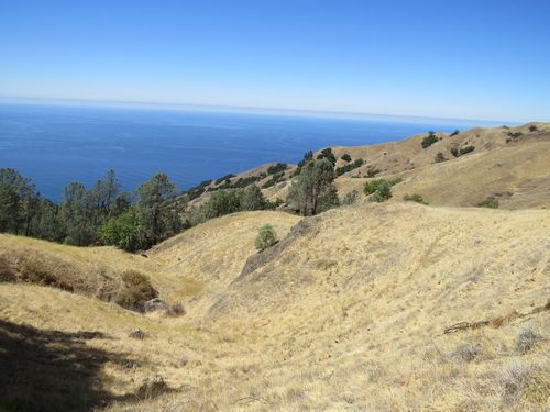 Ragged Point Fire Trail - Hiking In Big Sur